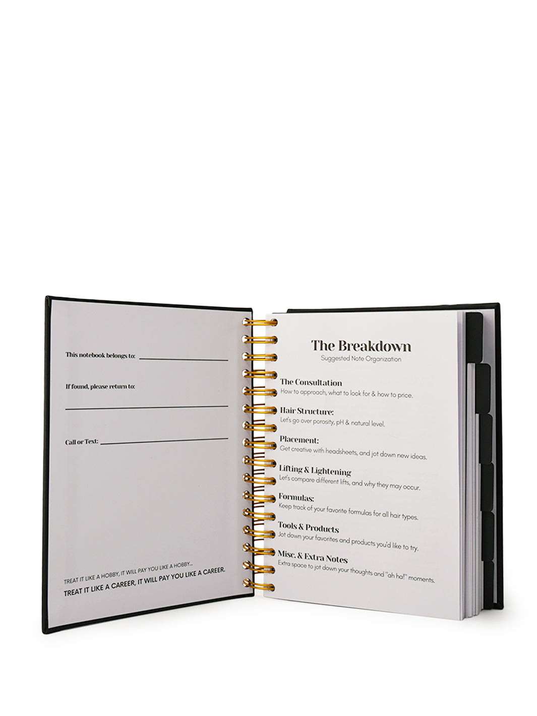 The Independent Thinker's Notebook Guide to Hair Color - Notebook