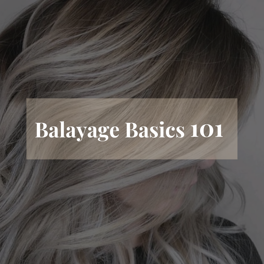 Balayage Basics 101...
